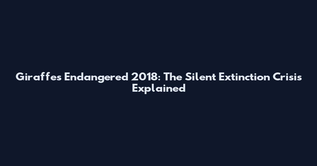 Giraffes Endangered 2018: The Silent Extinction Crisis Explained