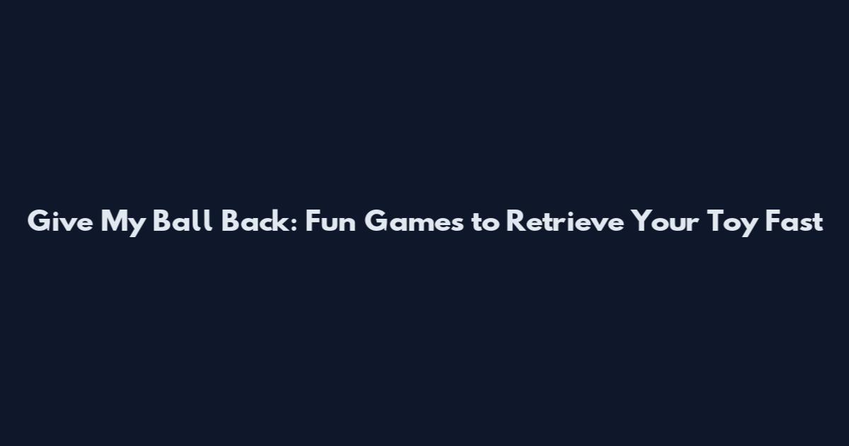 Give My Ball Back: Fun Games to Retrieve Your Toy Fast
