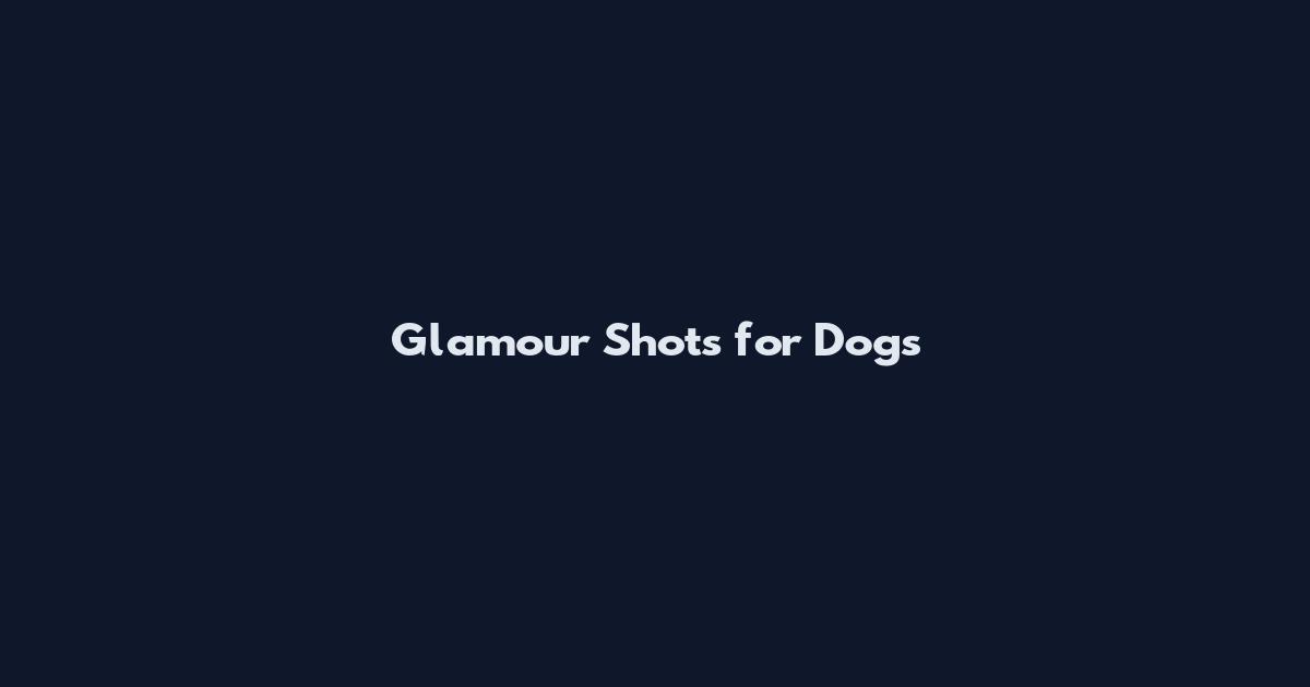 Glamour Shots for Dogs