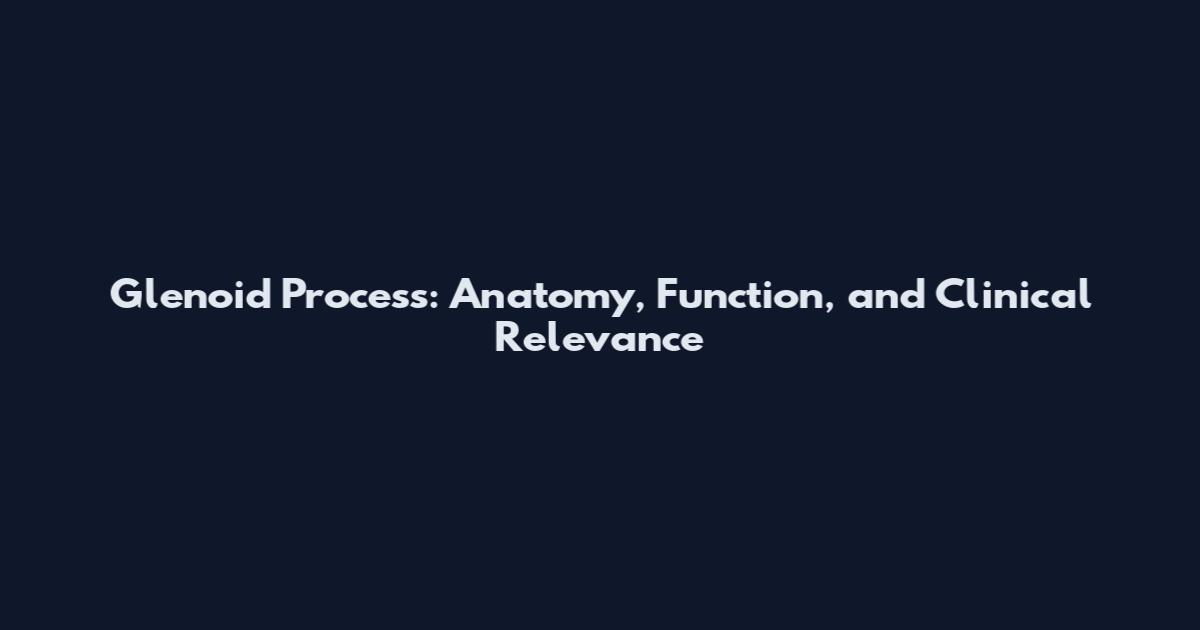 Glenoid Process: Anatomy, Function, and Clinical Relevance