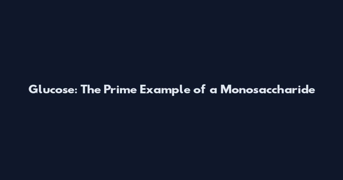 Glucose: The Prime Example of a Monosaccharide