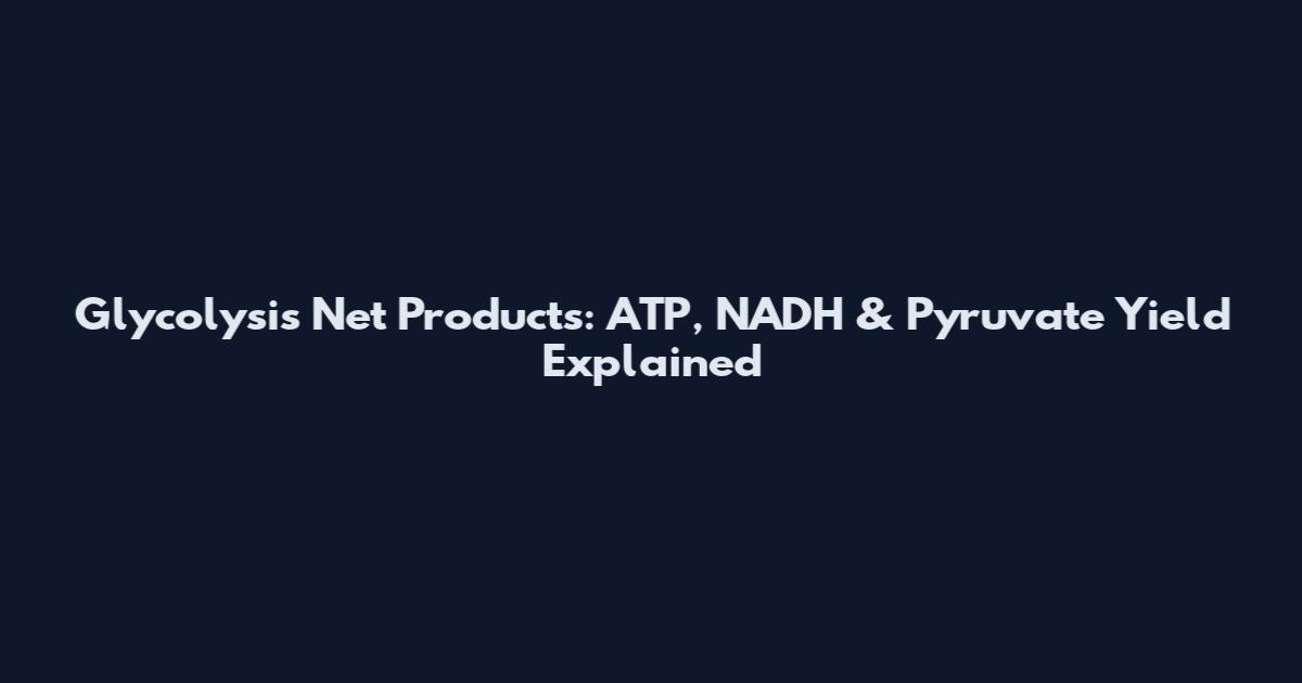 Glycolysis Net Products: ATP, NADH & Pyruvate Yield Explained