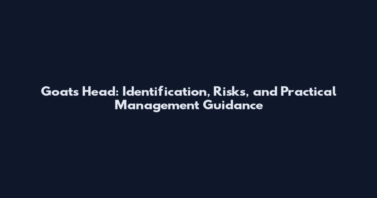 Goat's Head: Identification, Risks, and Practical Management Guidance