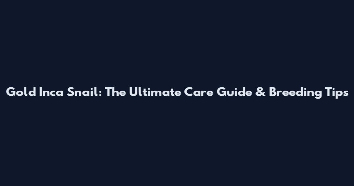 Gold Inca Snail: The Ultimate Care Guide & Breeding Tips