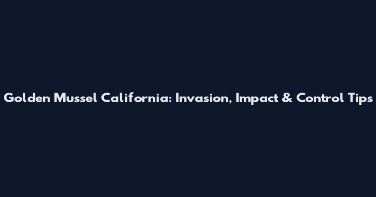 Golden Mussel California: Invasion, Impact & Control Tips