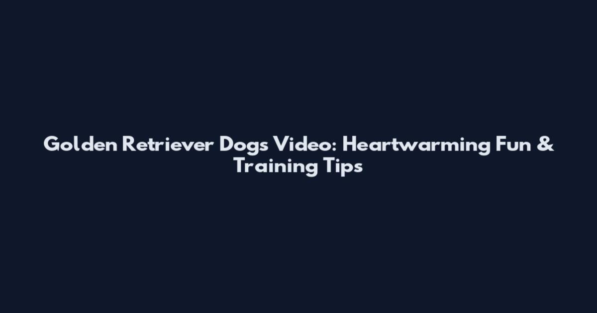 Golden Retriever Dogs Video: Heartwarming Fun & Training Tips