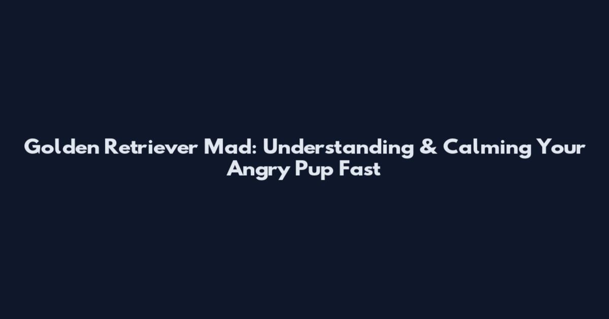 Golden Retriever Mad: Understanding & Calming Your Angry Pup Fast