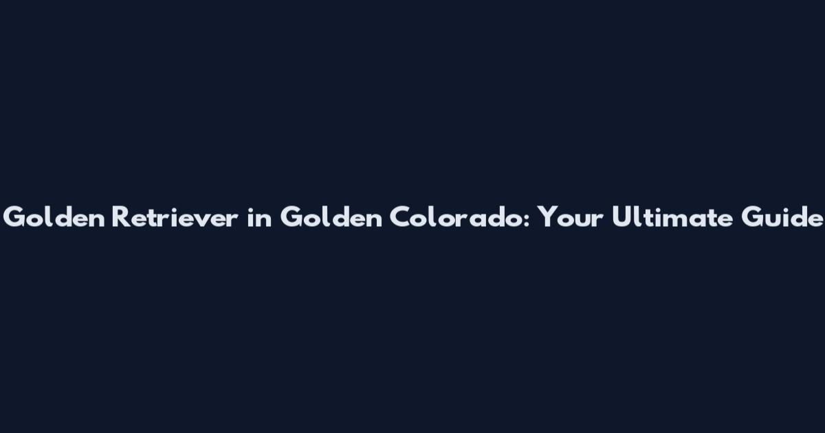 Golden Retriever in Golden Colorado: Your Ultimate Guide