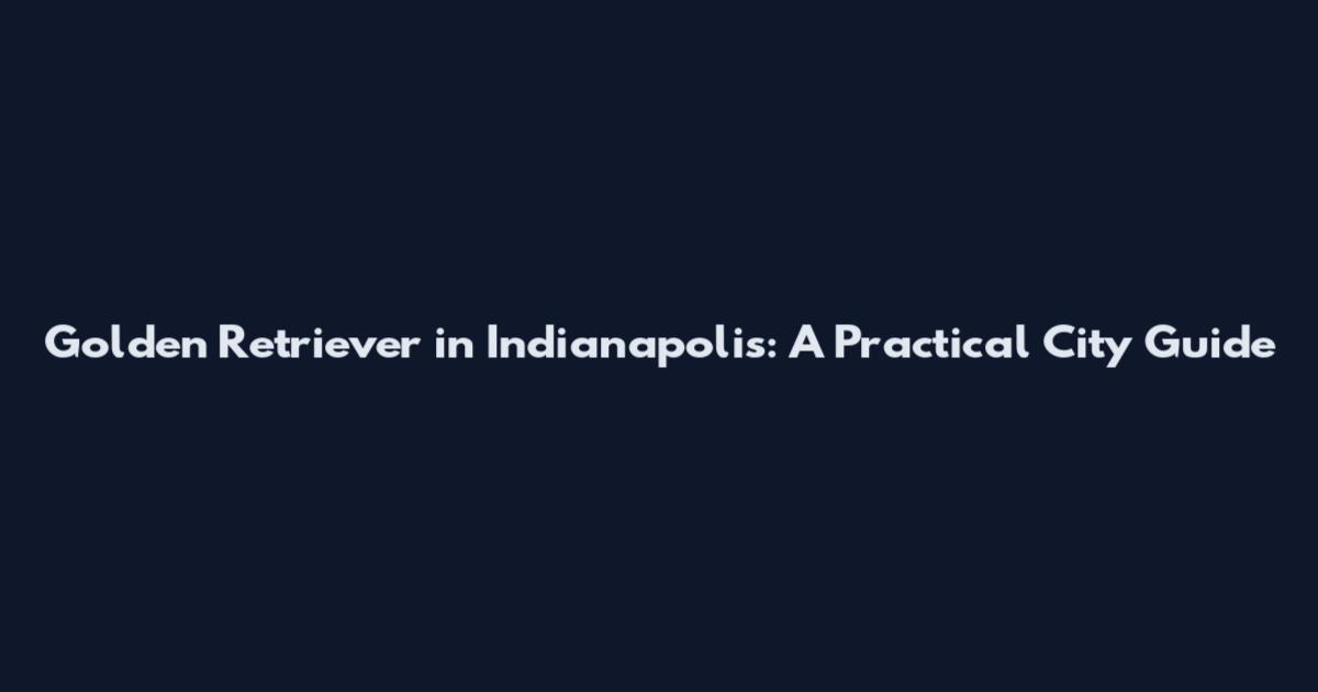 Golden Retriever in Indianapolis: A Practical City Guide