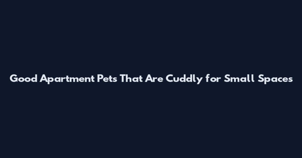 Good Apartment Pets That Are Cuddly for Small Spaces