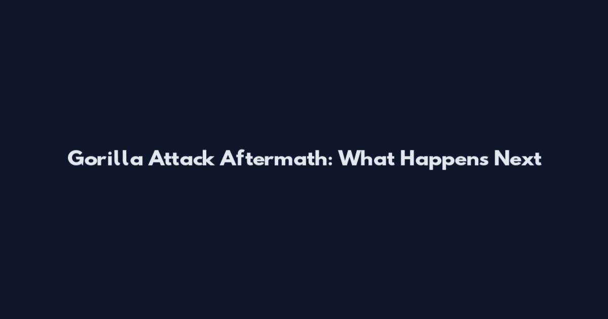 Gorilla Attack Aftermath: What Happens Next