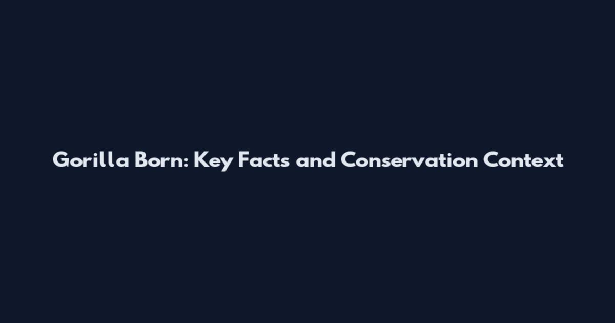 Gorilla Born: Key Facts and Conservation Context