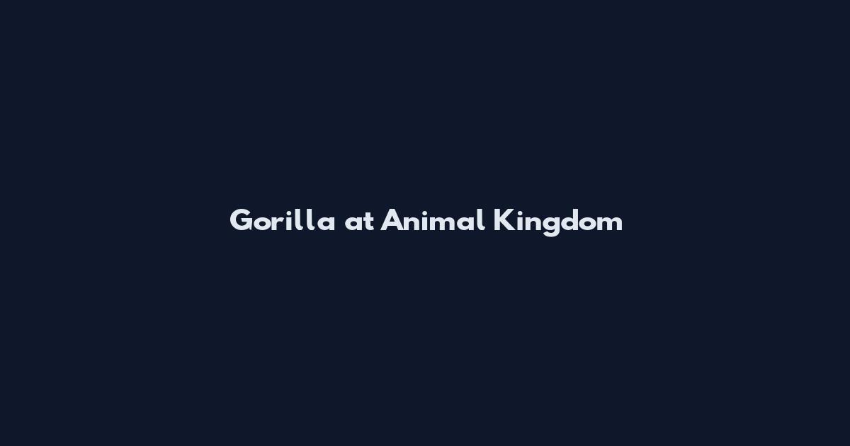 Gorilla at Animal Kingdom