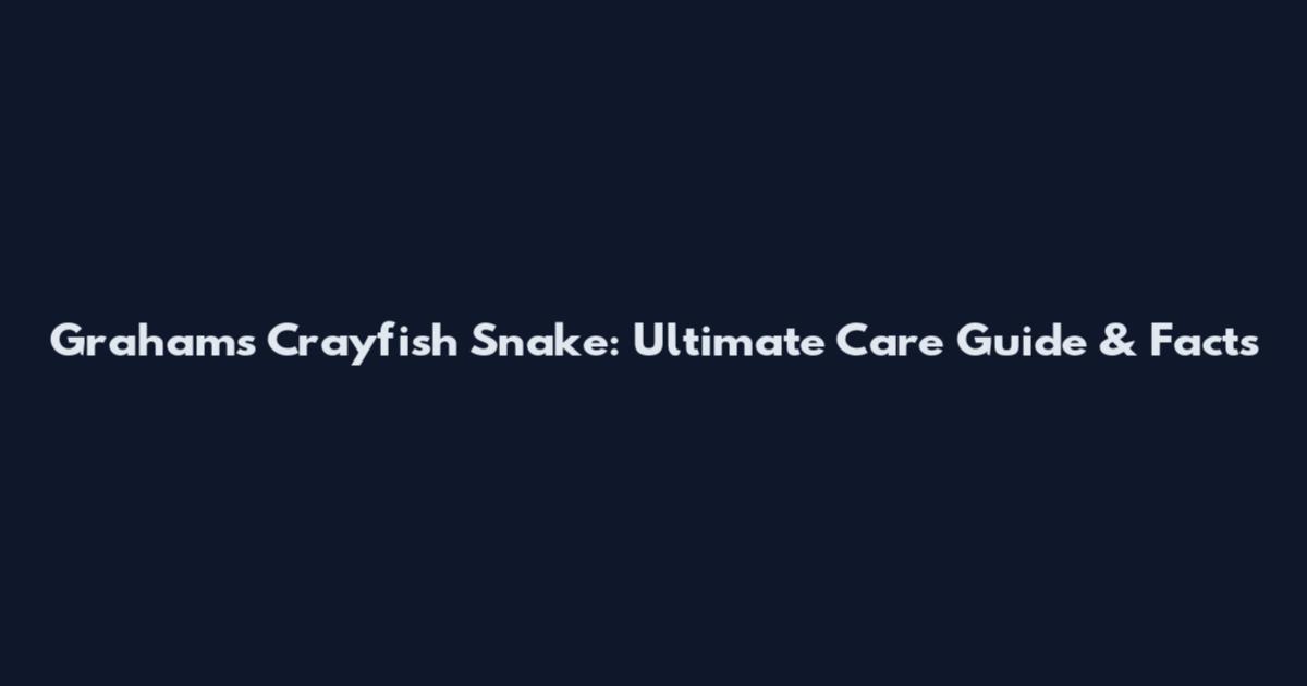 Graham's Crayfish Snake: Ultimate Care Guide & Facts
