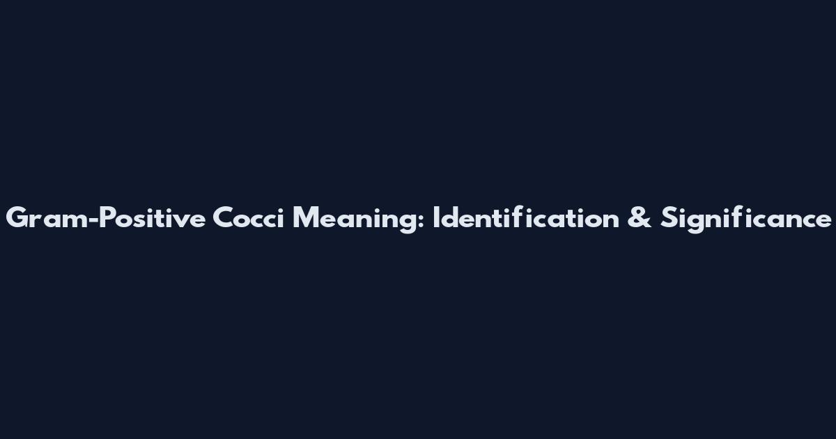 Gram-Positive Cocci Meaning: Identification & Significance