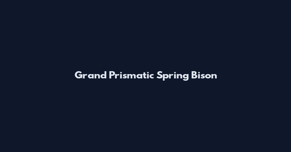 Grand Prismatic Spring Bison
