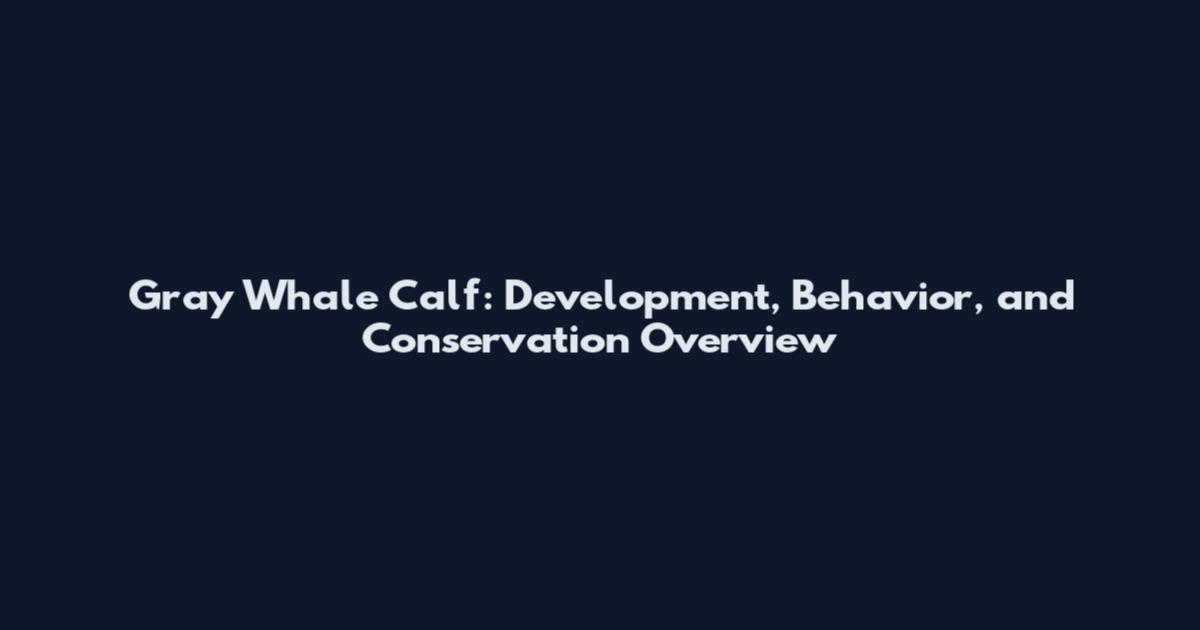 Gray Whale Calf: Development, Behavior, and Conservation Overview