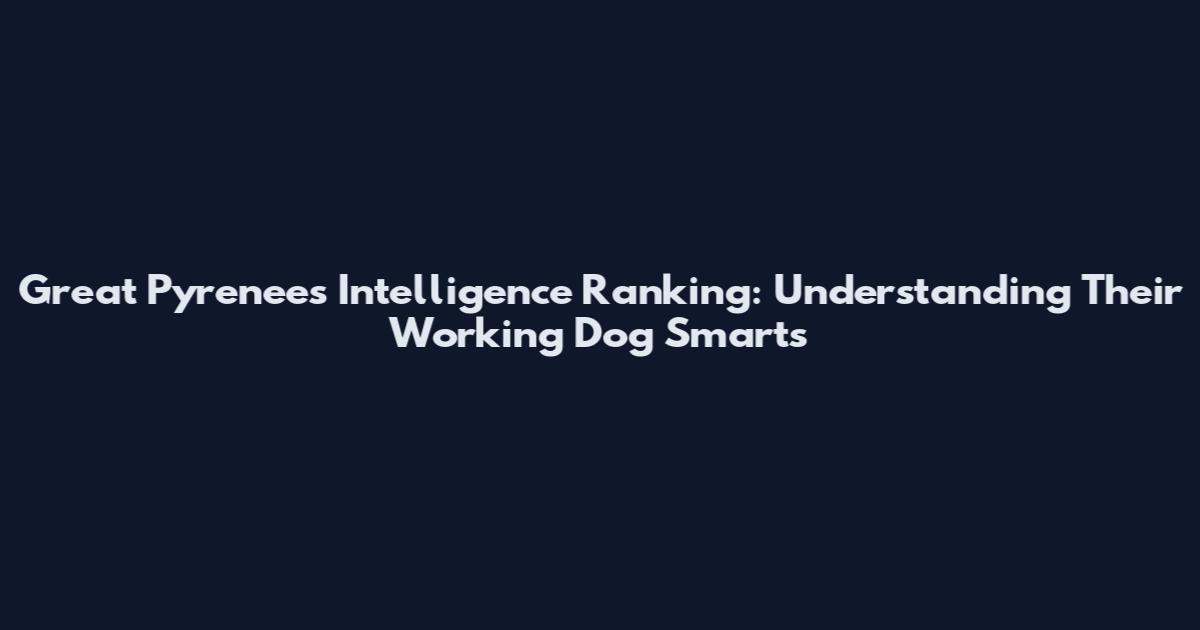 Great Pyrenees Intelligence Ranking: Understanding Their Working Dog Smarts