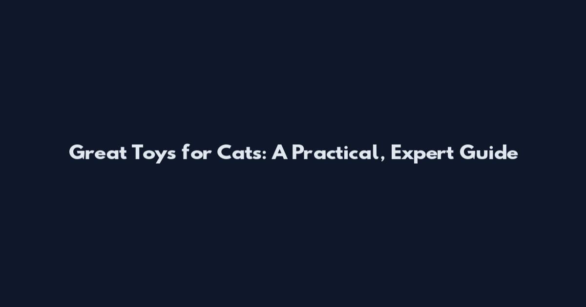 Great Toys for Cats: A Practical, Expert Guide