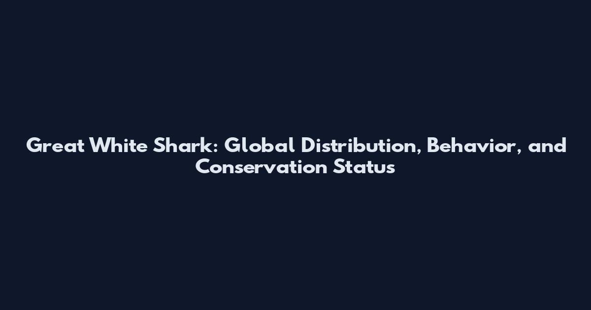 Great White Shark: Global Distribution, Behavior, and Conservation Status