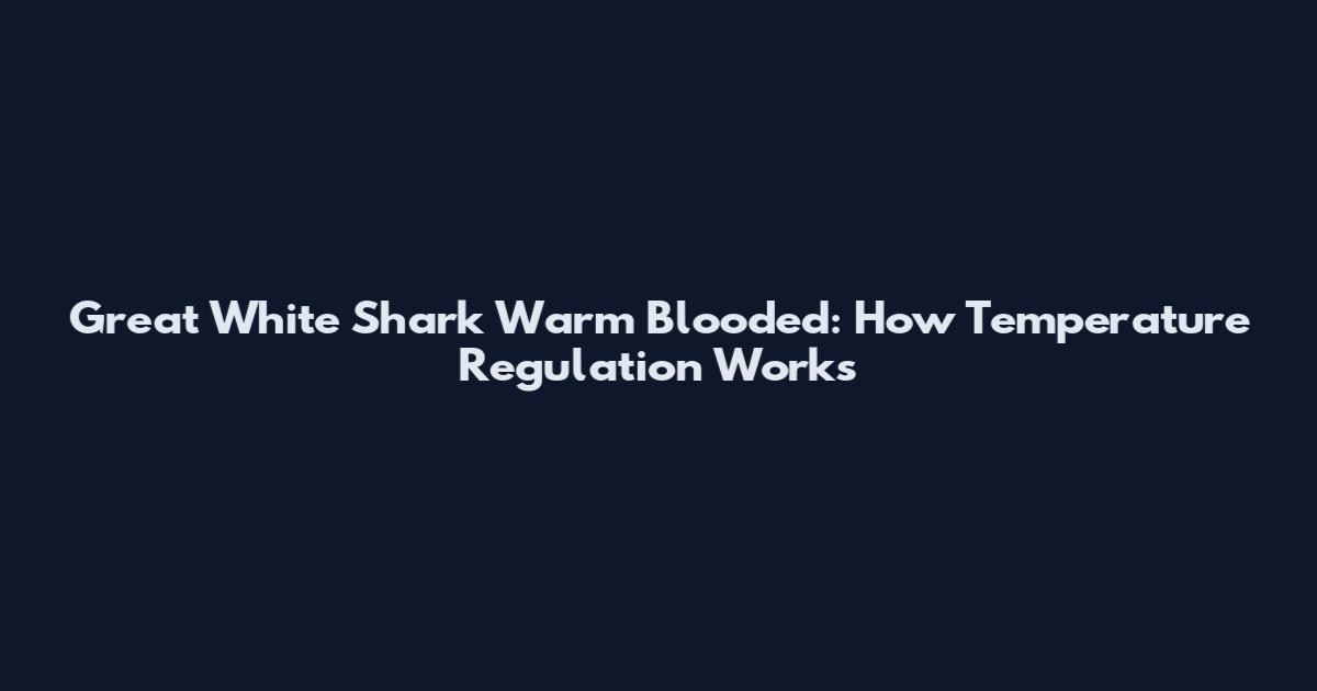 Great White Shark Warm Blooded: How Temperature Regulation Works