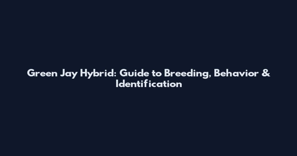 Green Jay Hybrid: Guide to Breeding, Behavior & Identification