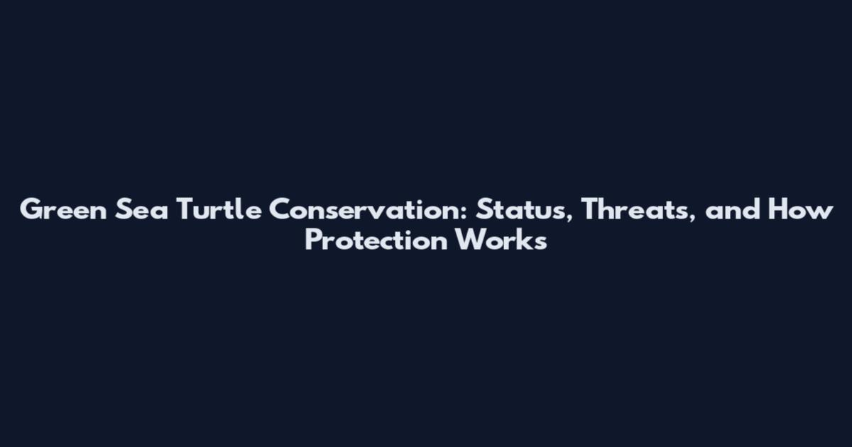 Green Sea Turtle Conservation: Status, Threats, and How Protection Works