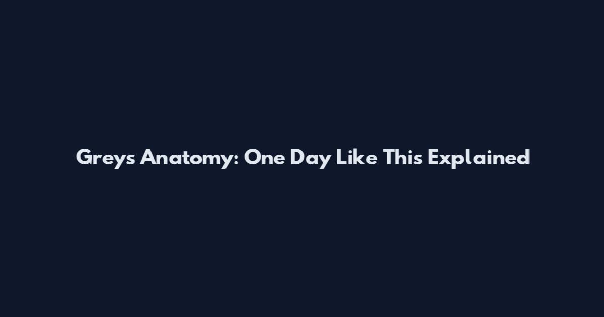 Grey's Anatomy: One Day Like This Explained