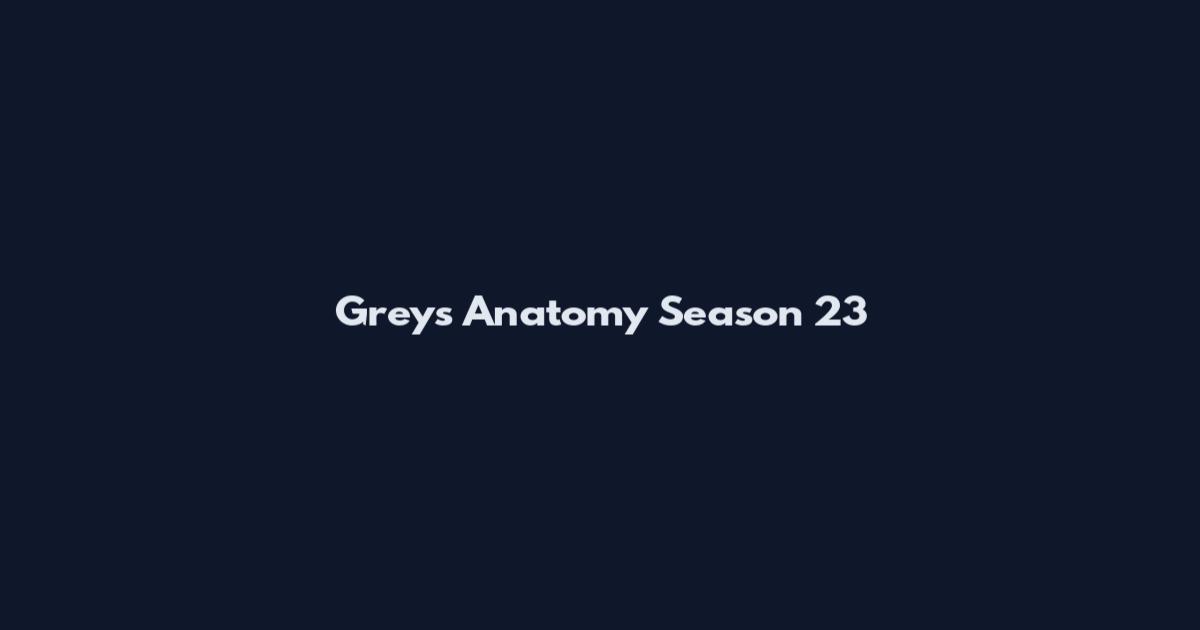 Grey's Anatomy Season 23