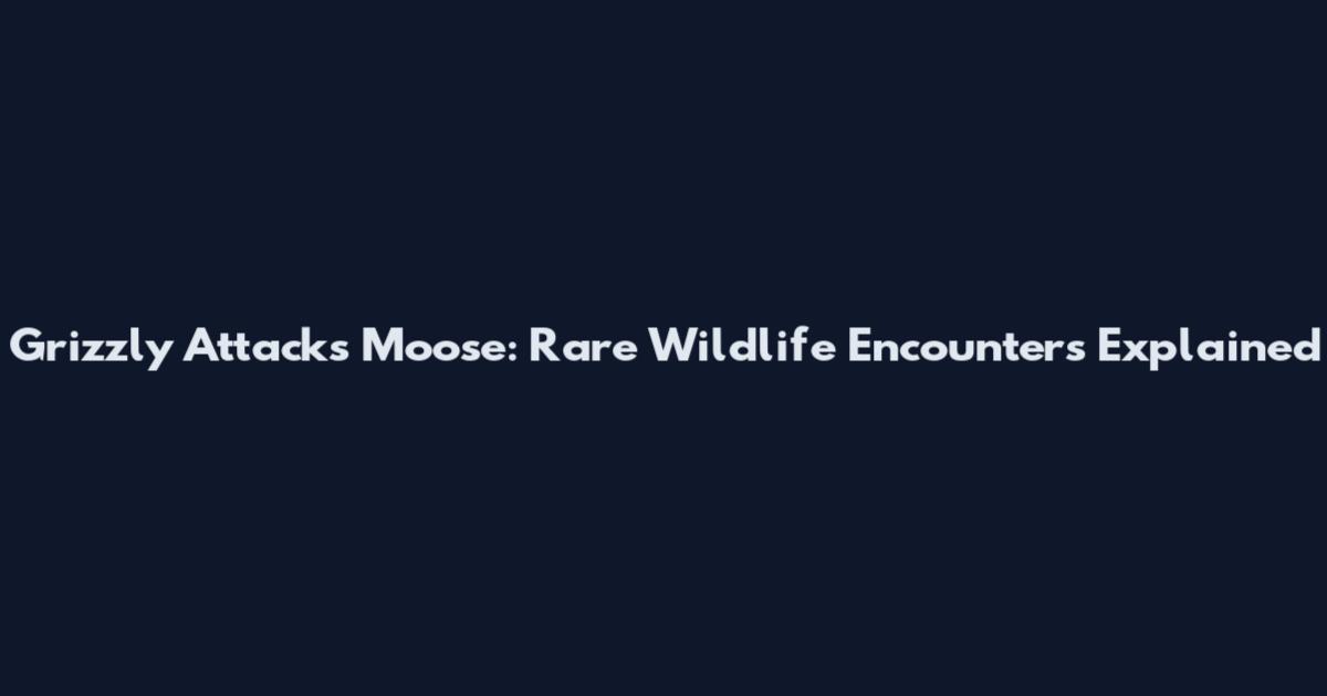 Grizzly Attacks Moose: Rare Wildlife Encounters Explained