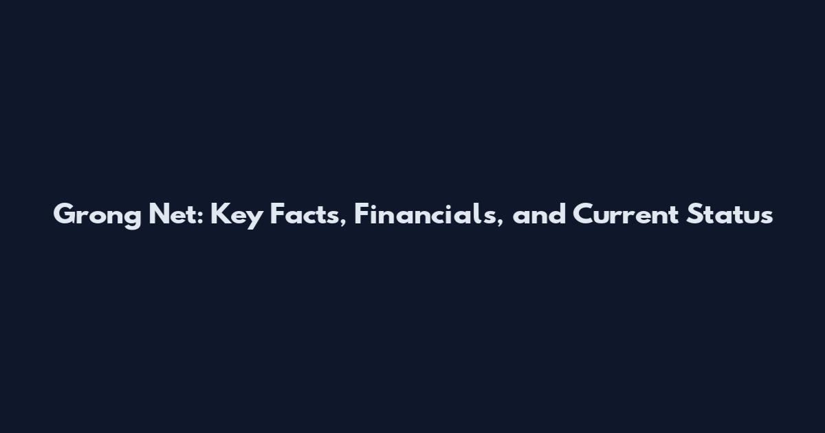 Grong Net: Key Facts, Financials, and Current Status