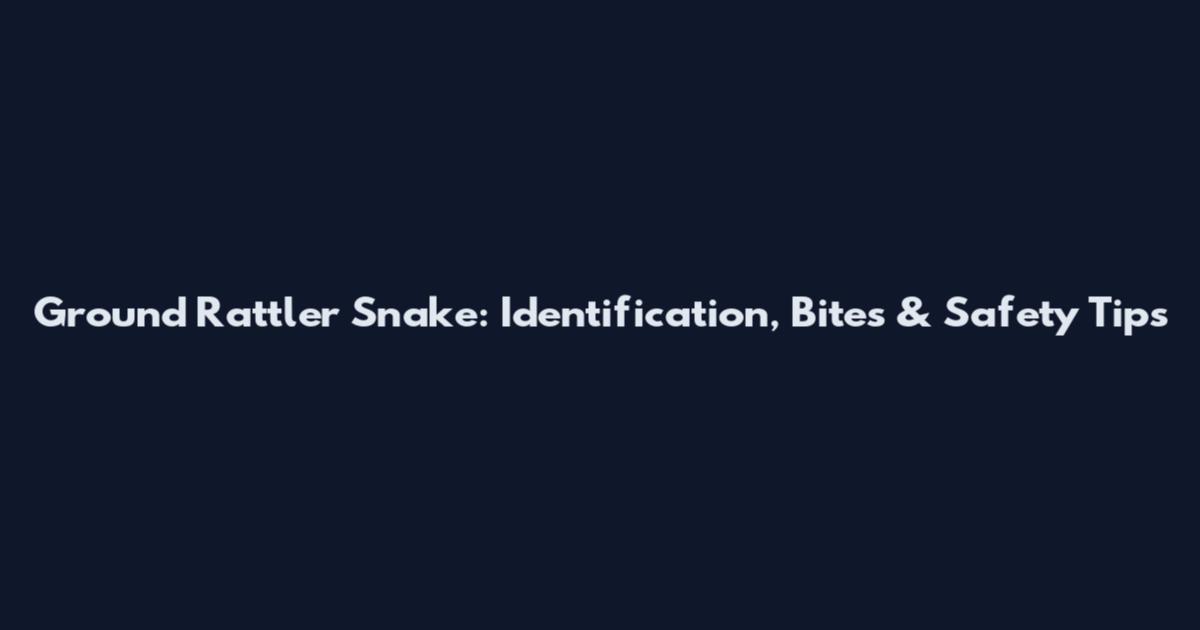 Ground Rattler Snake: Identification, Bites & Safety Tips