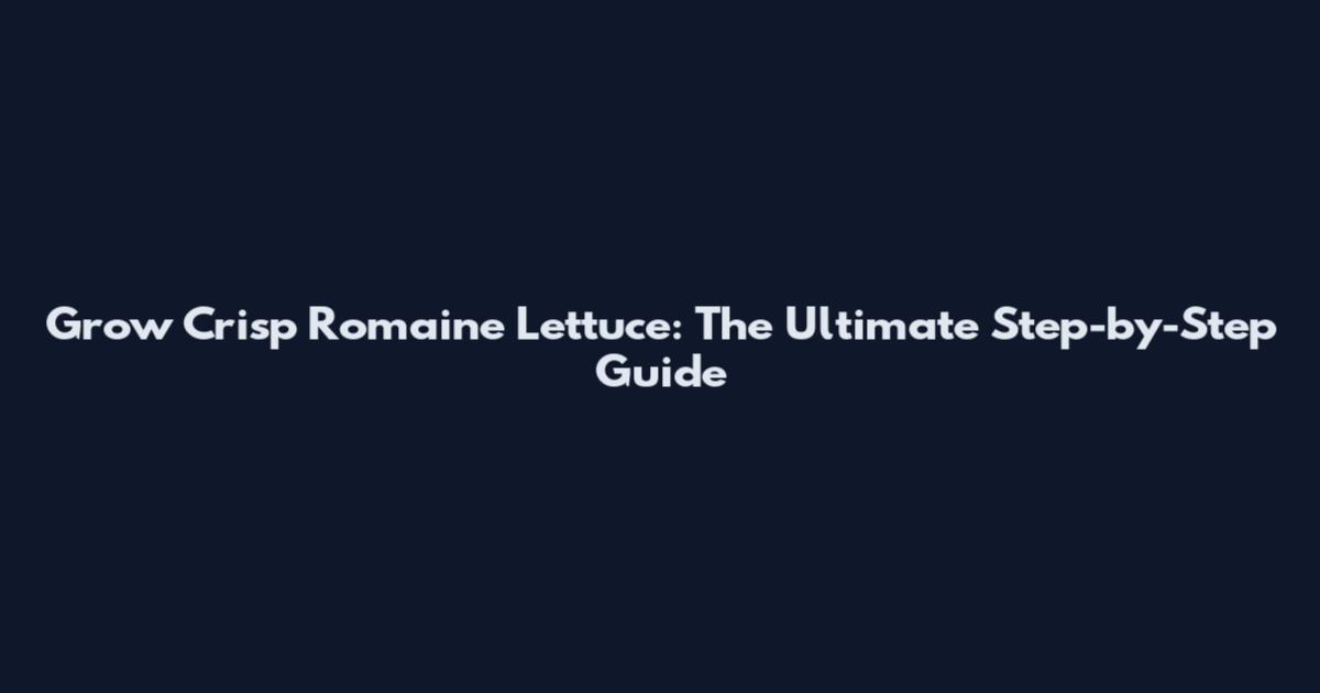 Grow Crisp Romaine Lettuce: The Ultimate Step-by-Step Guide