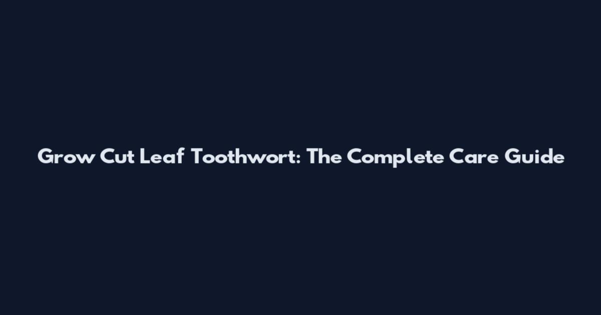 Grow Cut Leaf Toothwort: The Complete Care Guide