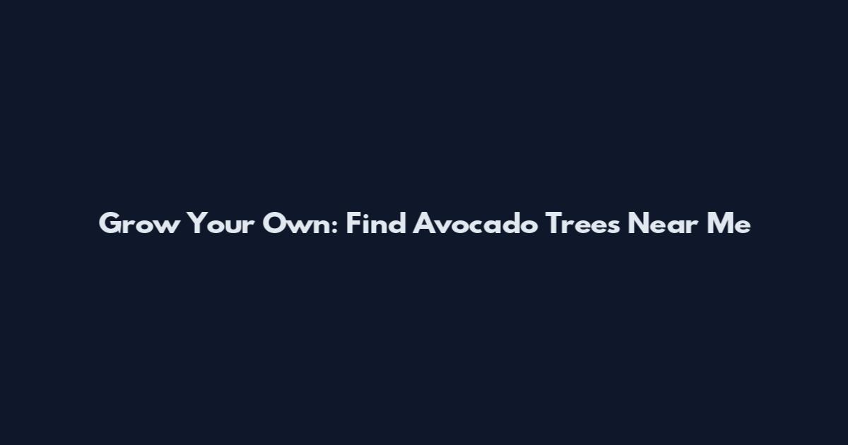 Grow Your Own: Find Avocado Trees Near Me