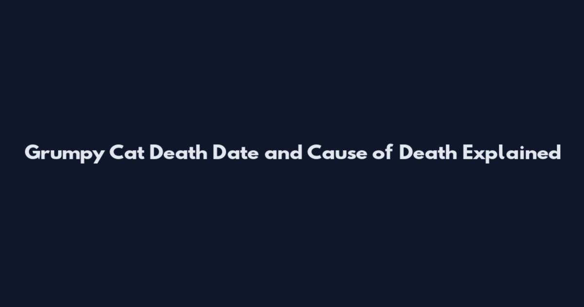 Grumpy Cat Death Date and Cause of Death Explained