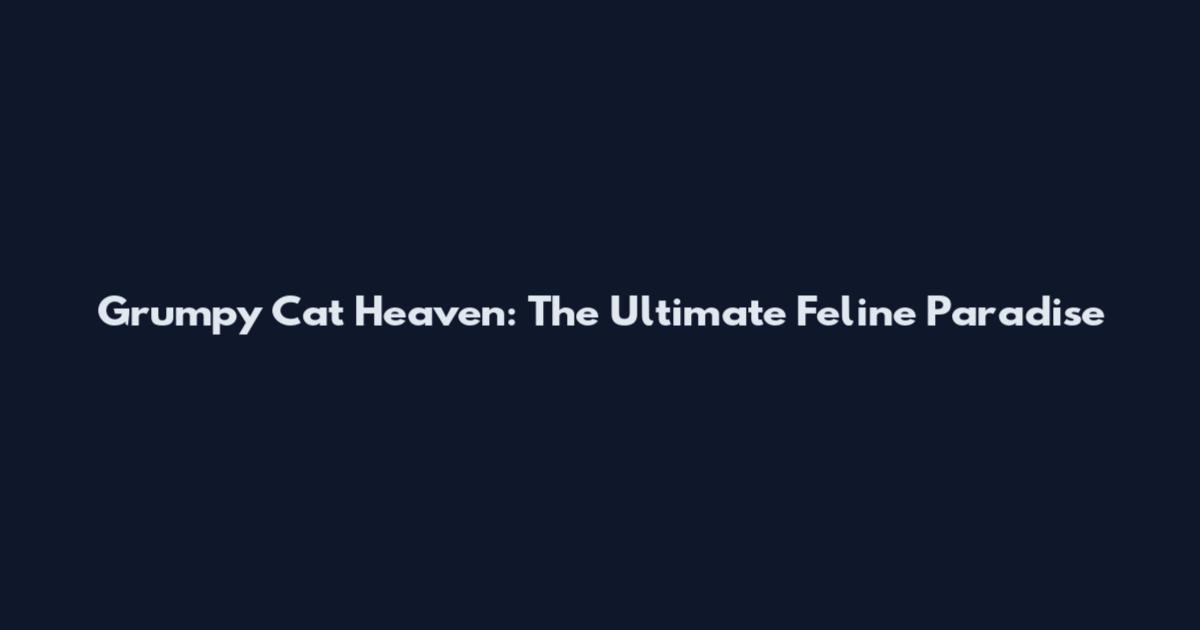 Grumpy Cat Heaven: The Ultimate Feline Paradise