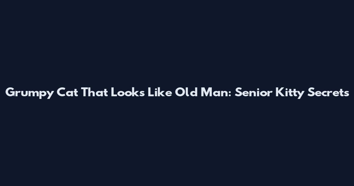Grumpy Cat That Looks Like Old Man: Senior Kitty Secrets