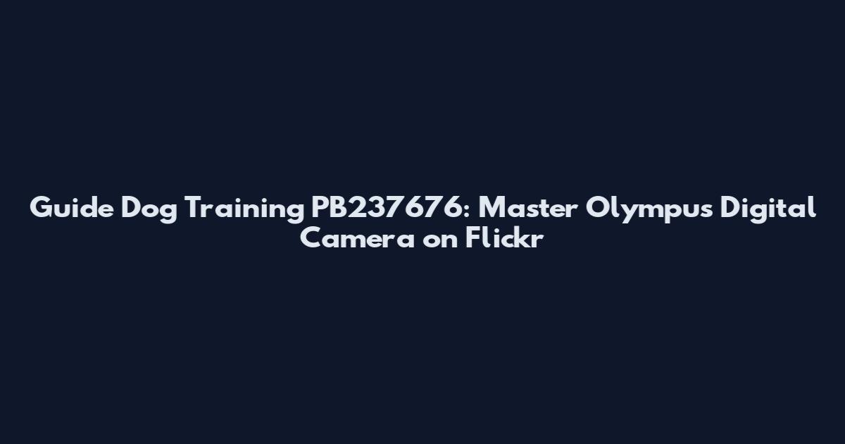 Guide Dog Training PB237676: Master Olympus Digital Camera on Flickr