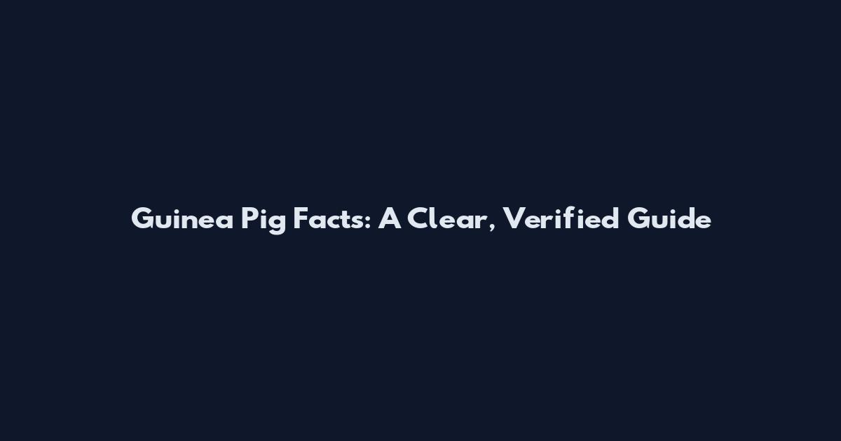 Guinea Pig Facts: A Clear, Verified Guide