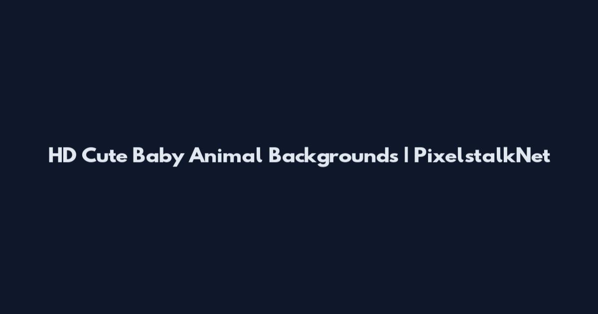 HD Cute Baby Animal Backgrounds | PixelstalkNet