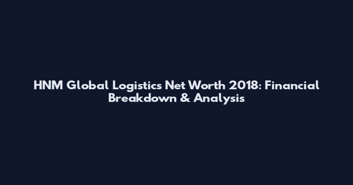 HNM Global Logistics Net Worth 2018: Financial Breakdown & Analysis