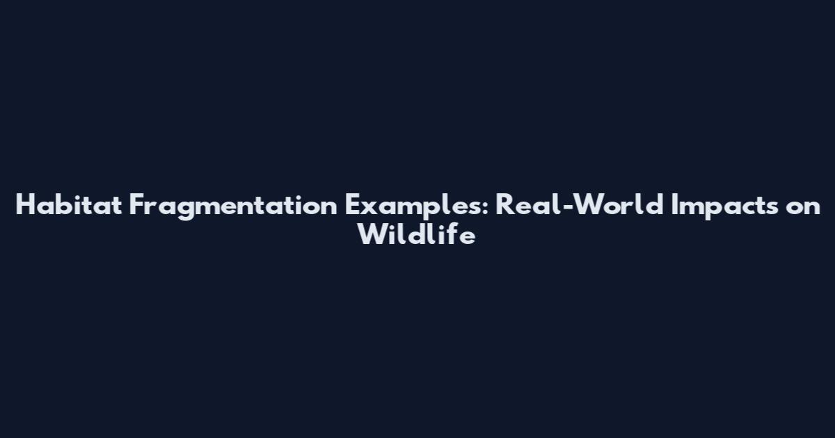 Habitat Fragmentation Examples: Real-World Impacts on Wildlife