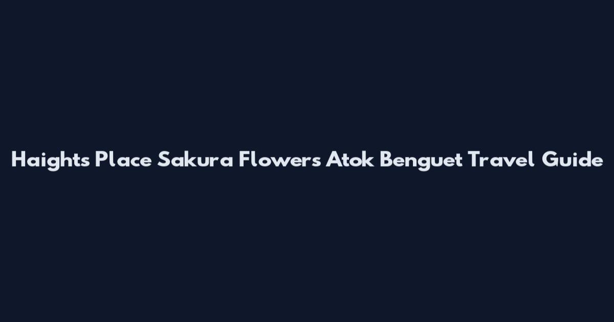 Haights Place Sakura Flowers Atok Benguet Travel Guide