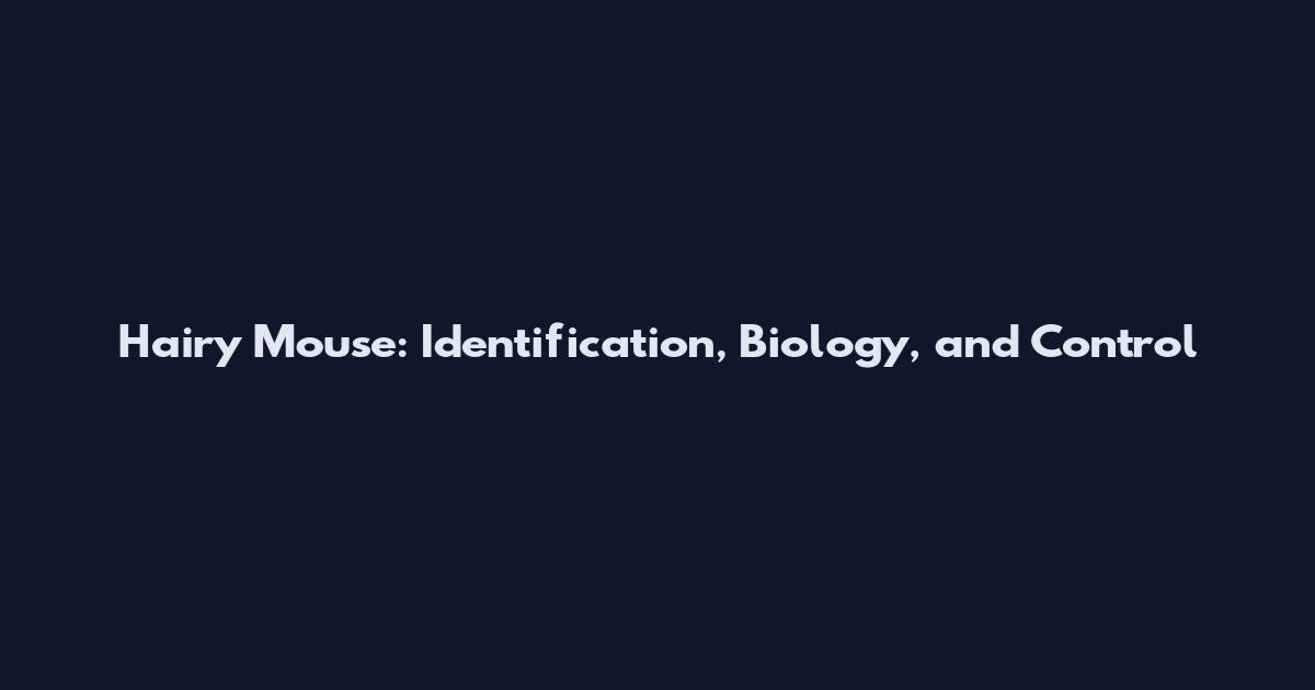 Hairy Mouse: Identification, Biology, and Control