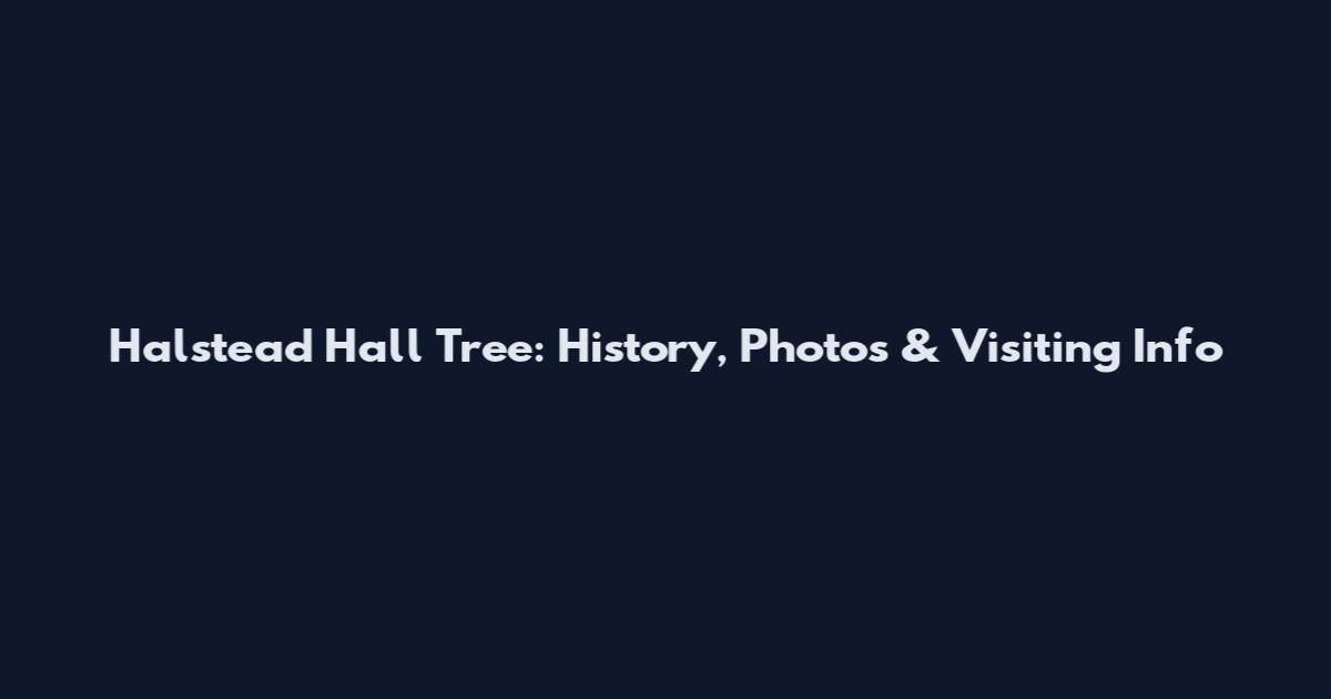 Halstead Hall Tree: History, Photos & Visiting Info
