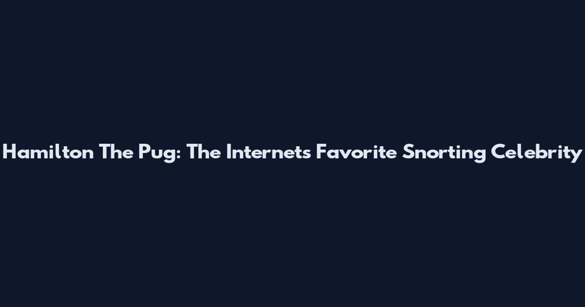 Hamilton The Pug: The Internet's Favorite Snorting Celebrity
