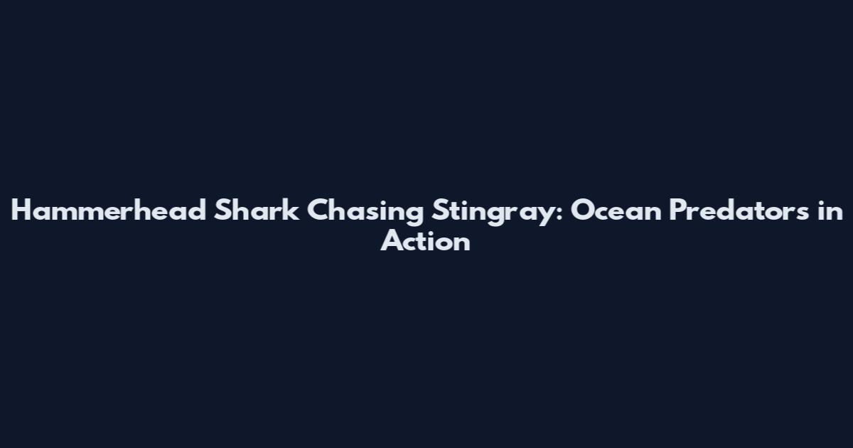 Hammerhead Shark Chasing Stingray: Ocean Predators in Action