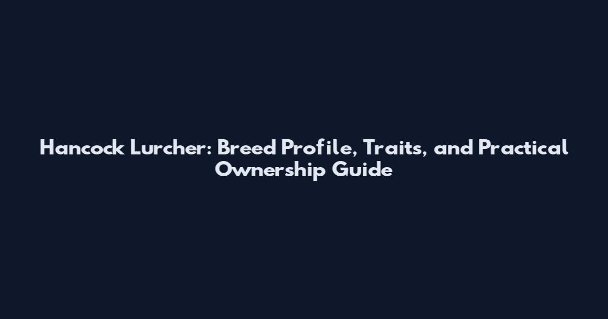 Hancock Lurcher: Breed Profile, Traits, and Practical Ownership Guide