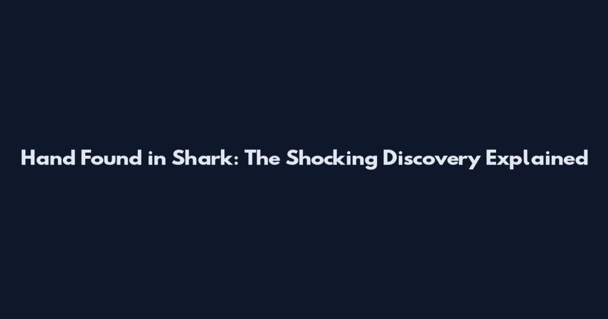 Hand Found in Shark: The Shocking Discovery Explained
